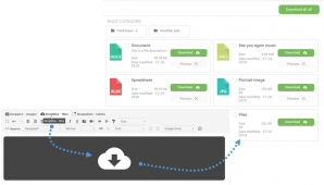 file-category-in-content